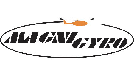 Sunstate Magni / Lil' Owl Gyro logo