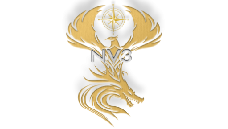 NV3 Foundation logo